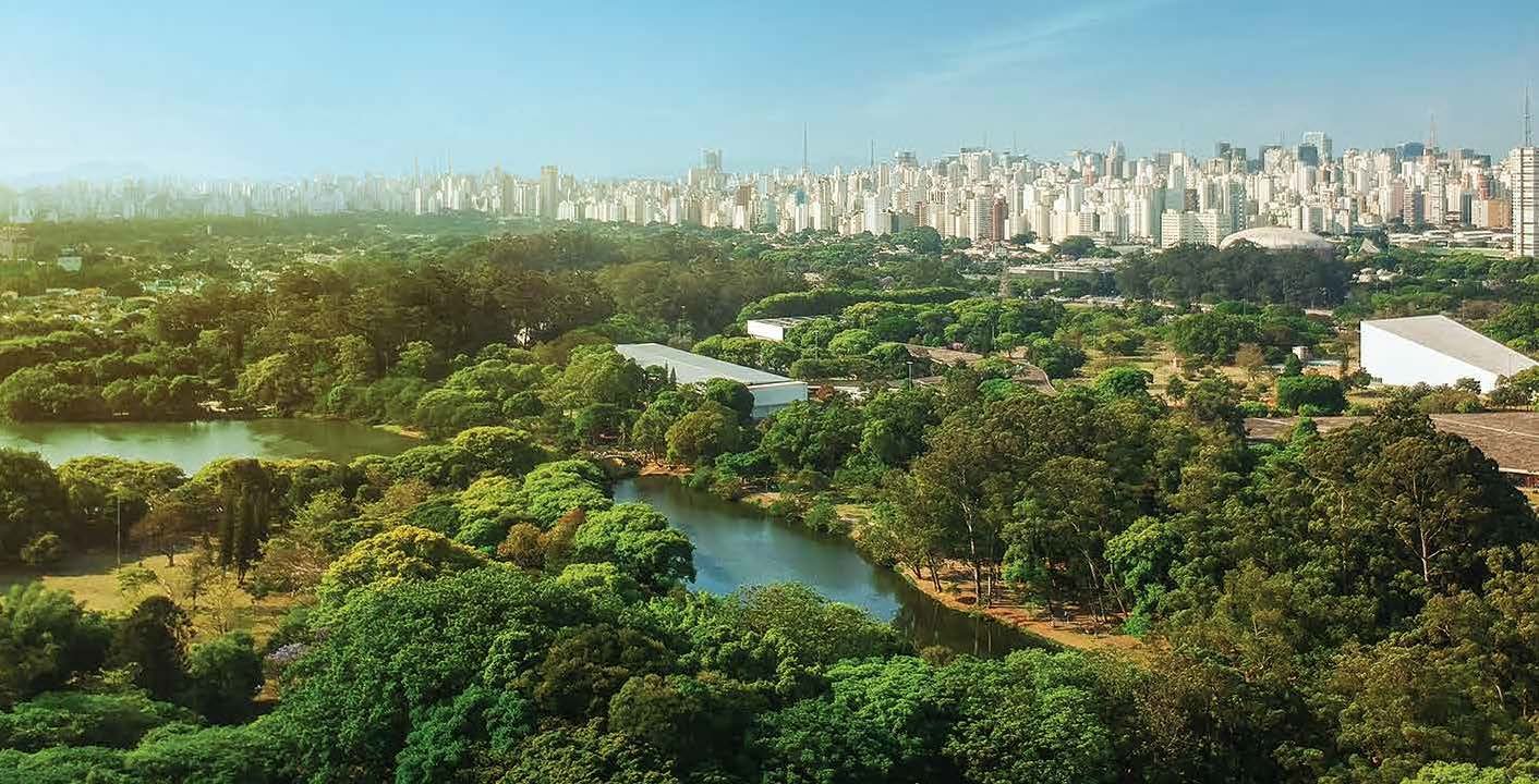 Foto 7 de 8